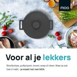 MOA Gietijzeren Braadpan - Inhoud 7,1 Liter - 29CM - Rond - Alle Warmtebronnen - Ook Voor Inductie - Gewicht 7,6 Kg - Zwart - MC29B 4 MOA Gietijzeren Braadpan - Inhoud 7,1 Liter - 29CM - Rond - Alle Warmtebronnen - Ook Voor Inductie - Gewicht 7,6 Kg - Zwart - MC29B -Keuken Pot 1200x1200 1044