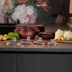 Herenthal Pannenset Inductie - Luxe 10-delige Koekenpan Inductie - Voor Alle Warmtebronnen - Pannen Met Glazen Deksels En Koudgrepen - Burgundy -Keuken Pot 1200x1200 120