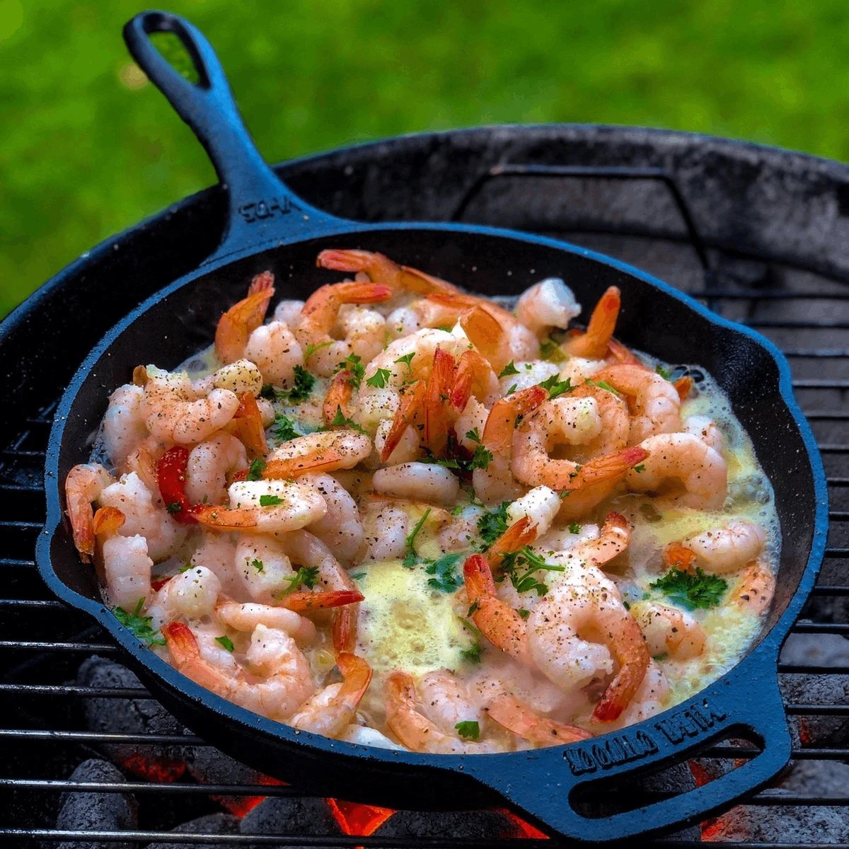 Valhal Outdoor Skillet / Koekenpan met steel - gietijzer, diameter 30cm - VH30 Valhal Outdoor Skillet / Koekenpan Met Steel - Gietijzer, Diameter 30cm - VH30 -Keuken Pot 1200x1200 634