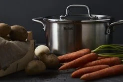 Tefal Virtuoso Kookpan - Ø 20 Cm -Keuken Pot 1200x800 313