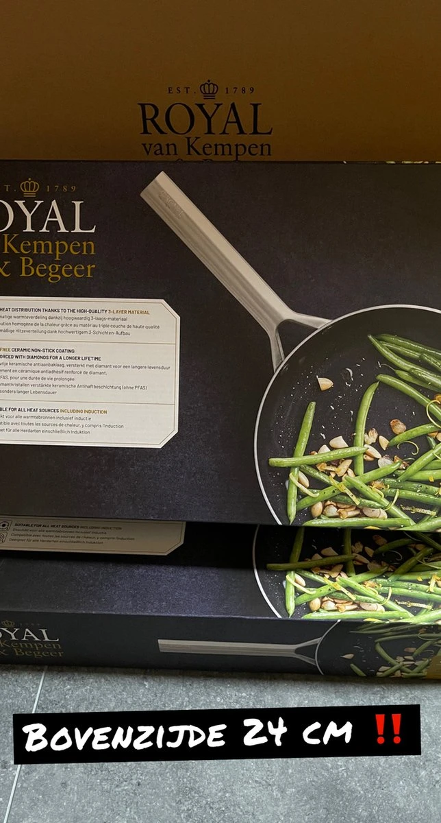 Royal van Kempen en Begeer - Koekenpan - 24 cm Royal Van Kempen En Begeer - Koekenpan - 24 Cm -Keuken Pot 644x1200 1