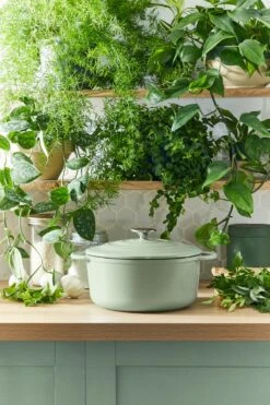 Tefal LOV Braadpan - 5L - Ø25 Cm - Groen -Keuken Pot 800x1200 22